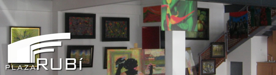 Galerá de Arte - Plaza Rubi Heredia